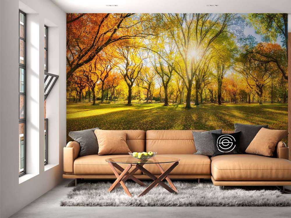 Colourful autumn forest