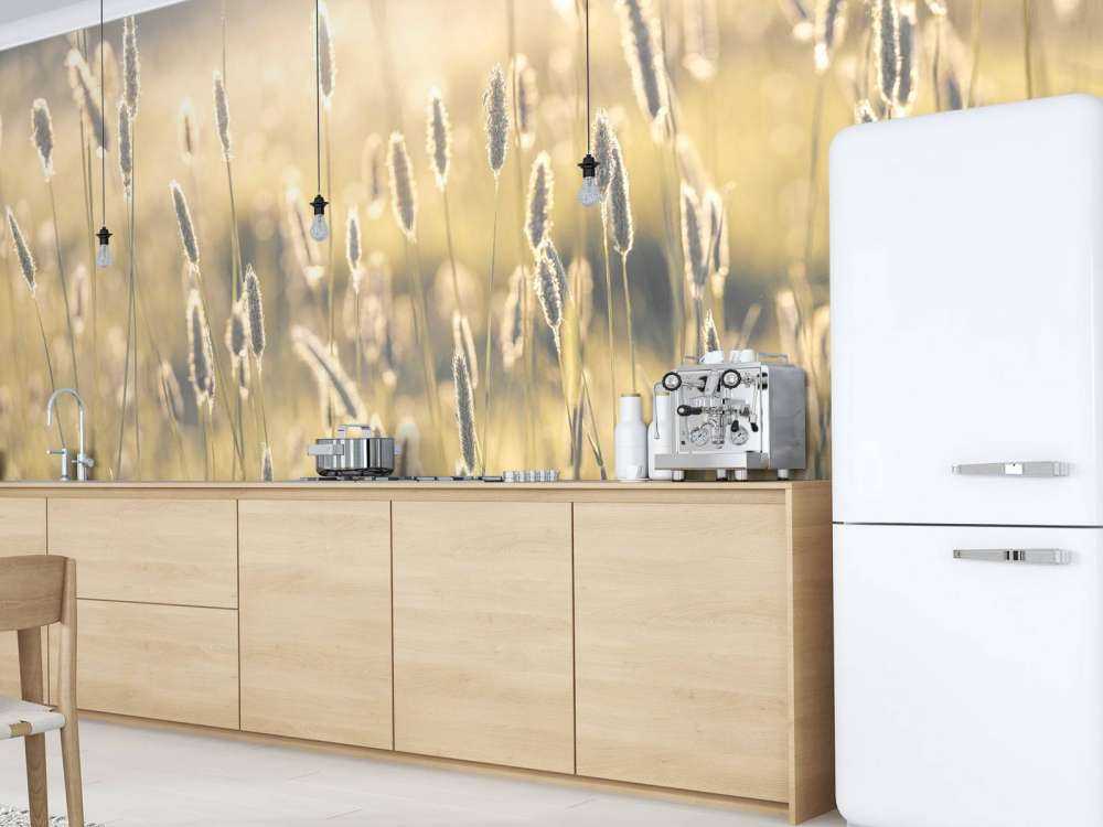 Summer meadow close-up