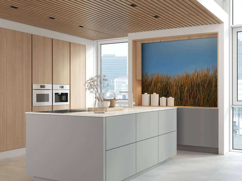 Dune grass