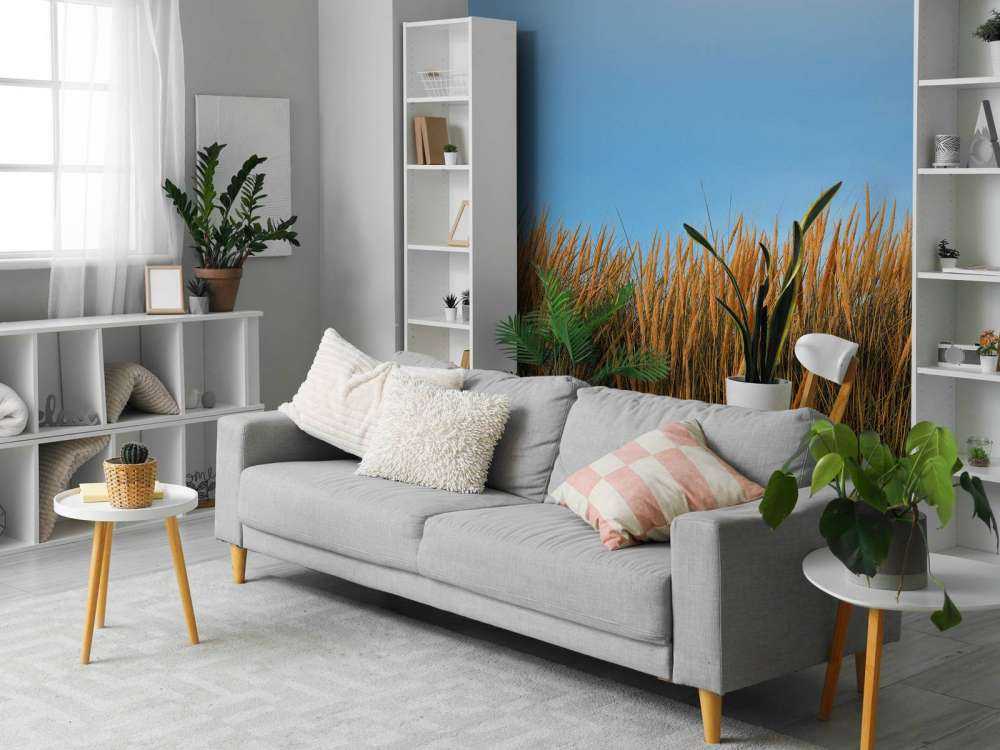 Dune grass