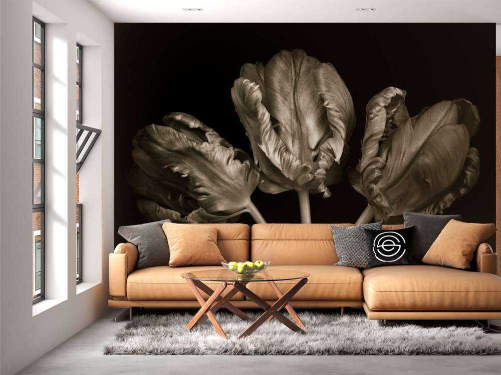 Three Rococo tulips