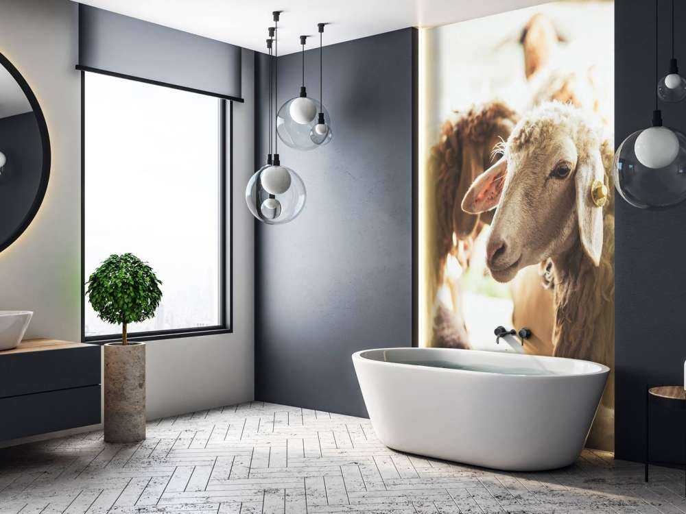 Sheep in stable