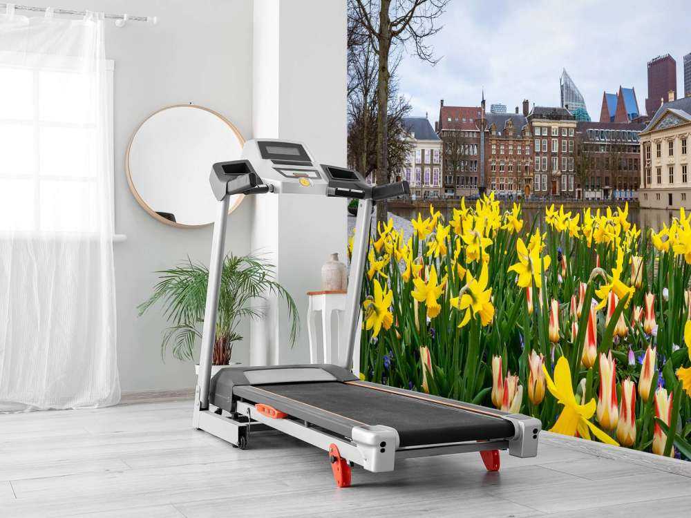 Den Haag met bloemen op de voorgrond