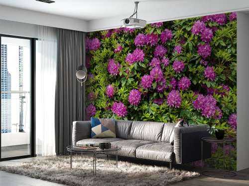 Rhododendrons 