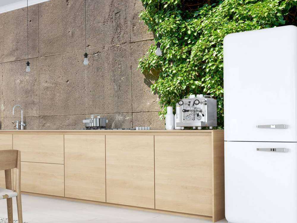 Concrete with bush 