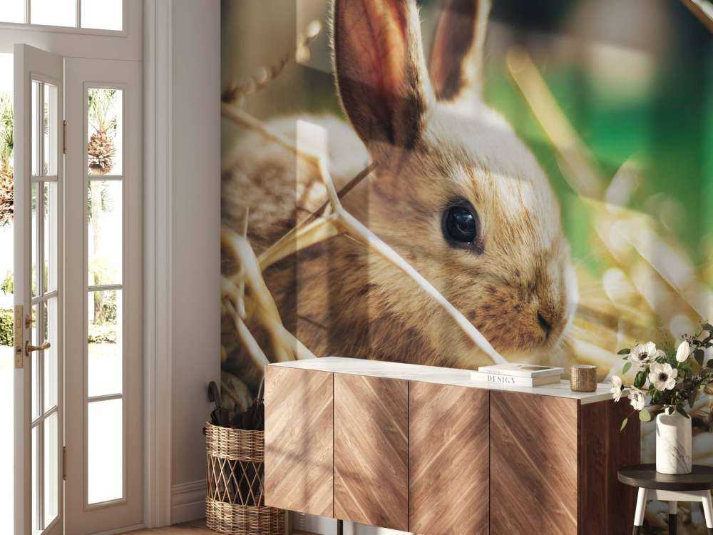Rabbit in straw