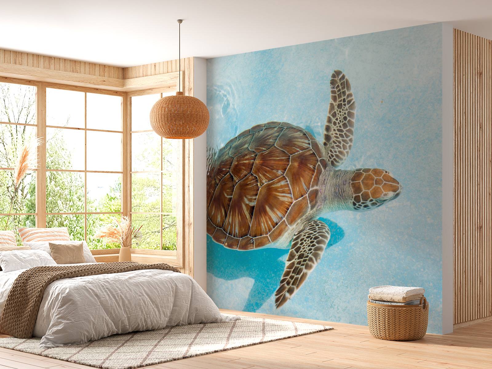 Turtle in the water