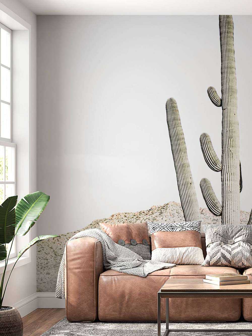 High cactus