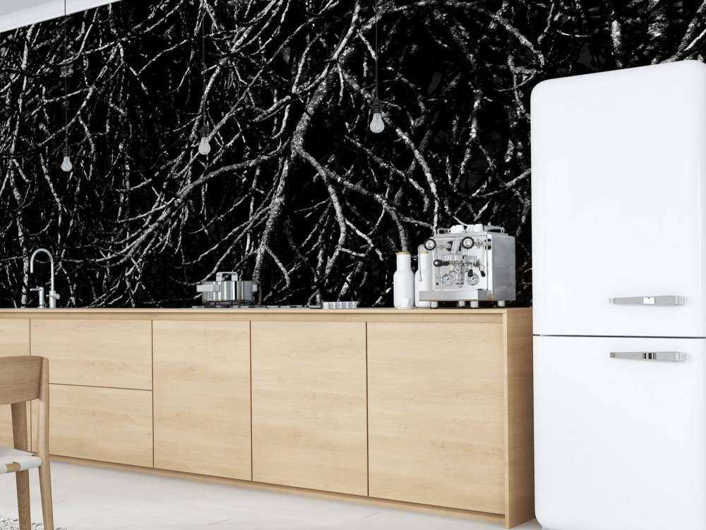 Boomtakken in zwart wit