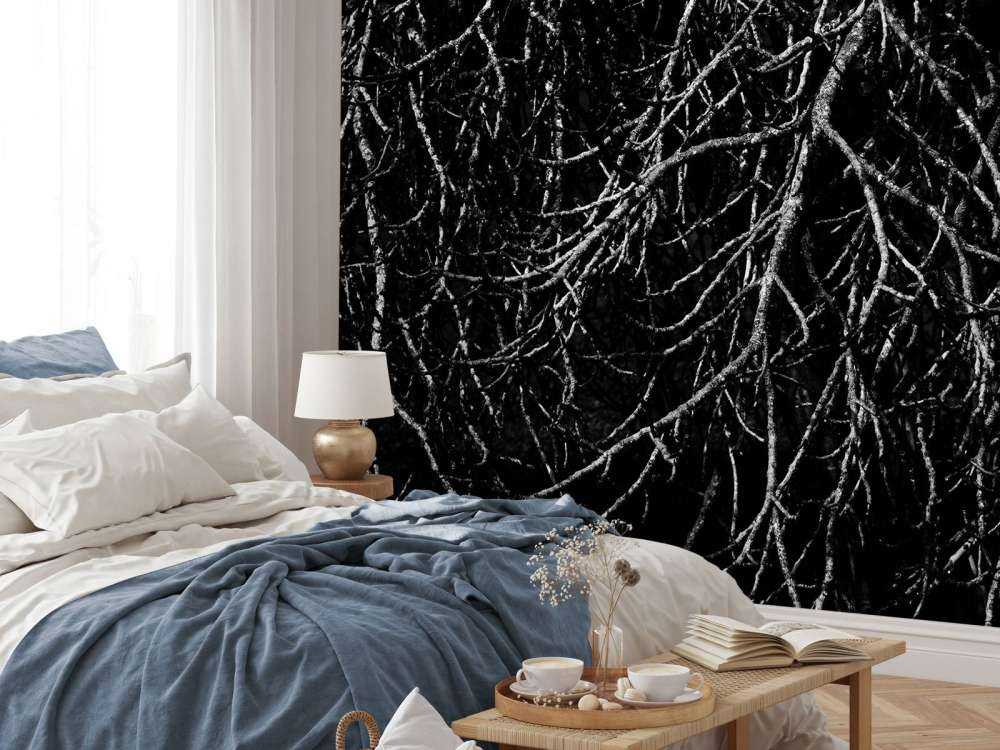 Boomtakken in zwart wit