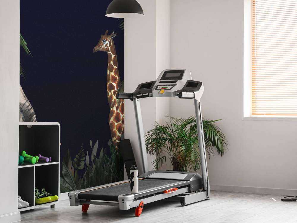 Jungle animals at night