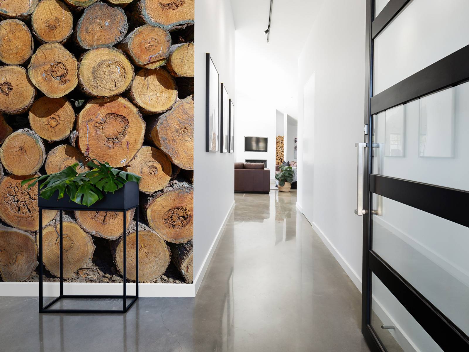 Pile of tree trunks
