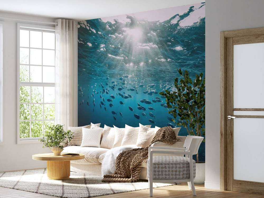 School of fish