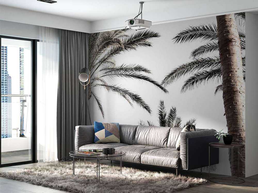 Palmtrees in the sun