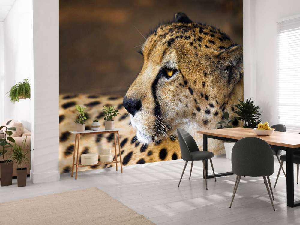 Zij-aanzicht luipaard