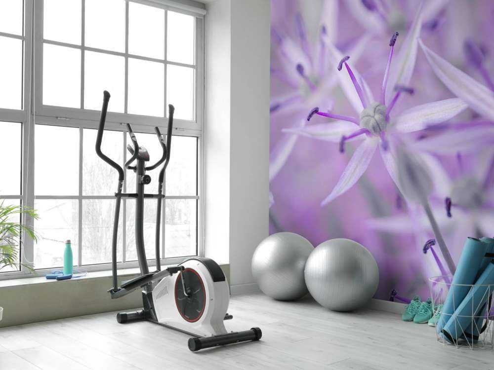 Purple allium flowers