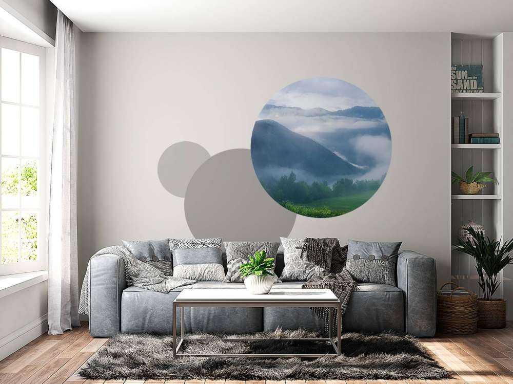 Beautiful forest