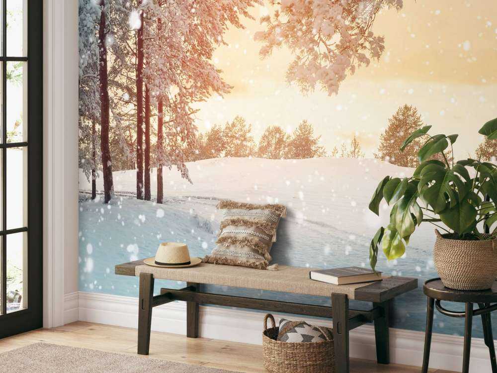 Pine trees with snow