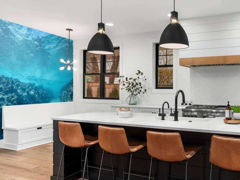 Underwater world with coral