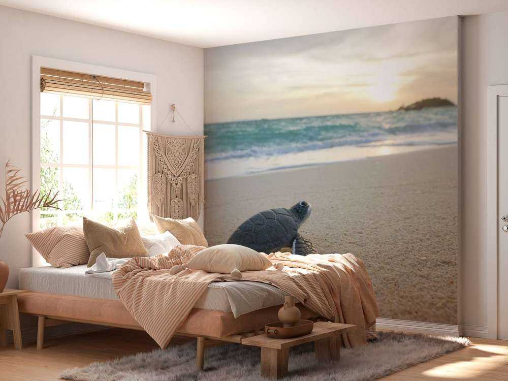 Kleine schildpad op het strand