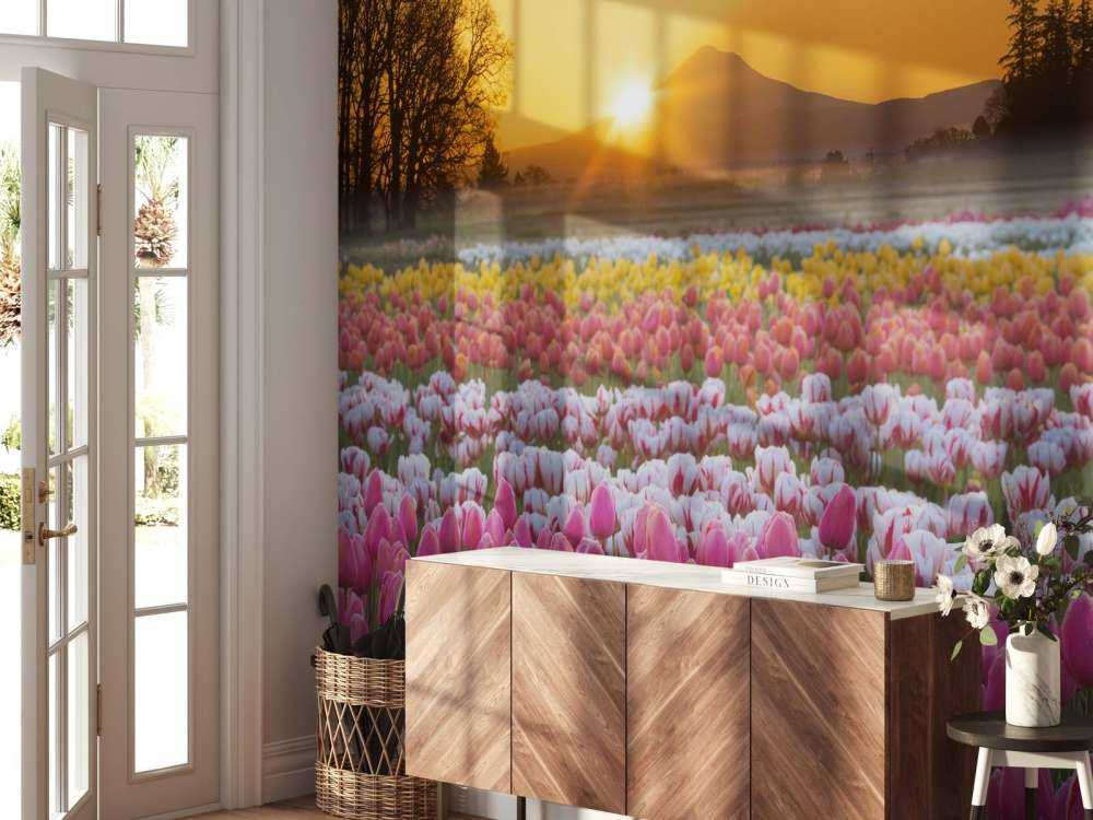 Colorful tulip field