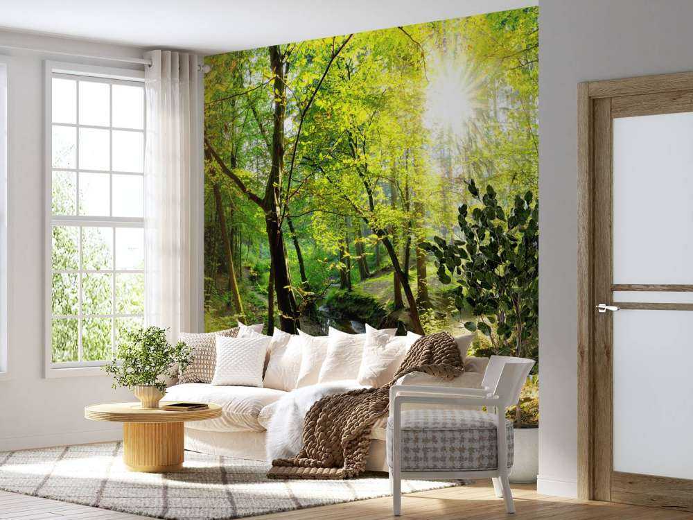 Forest with brook