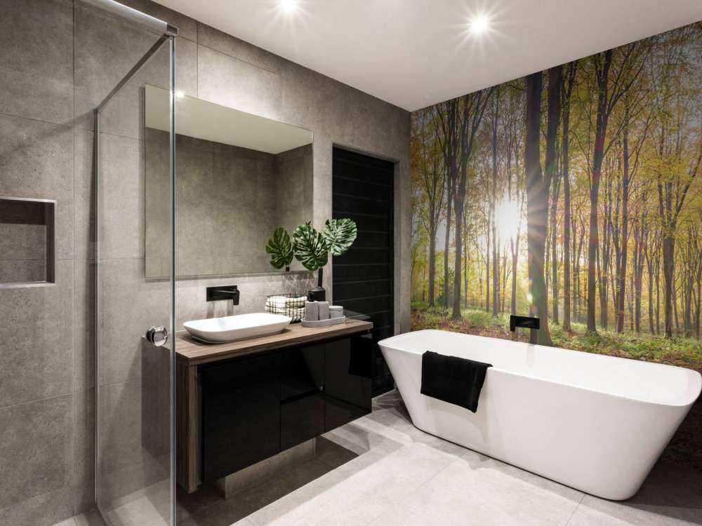 Sunlight through autumn forest