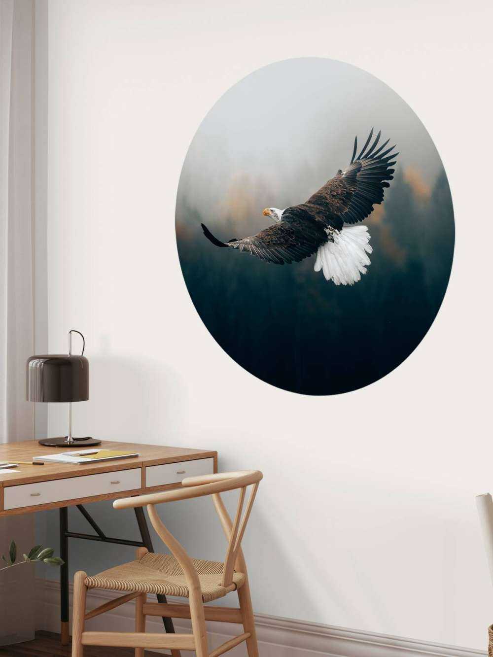 Bald eagle above the forest