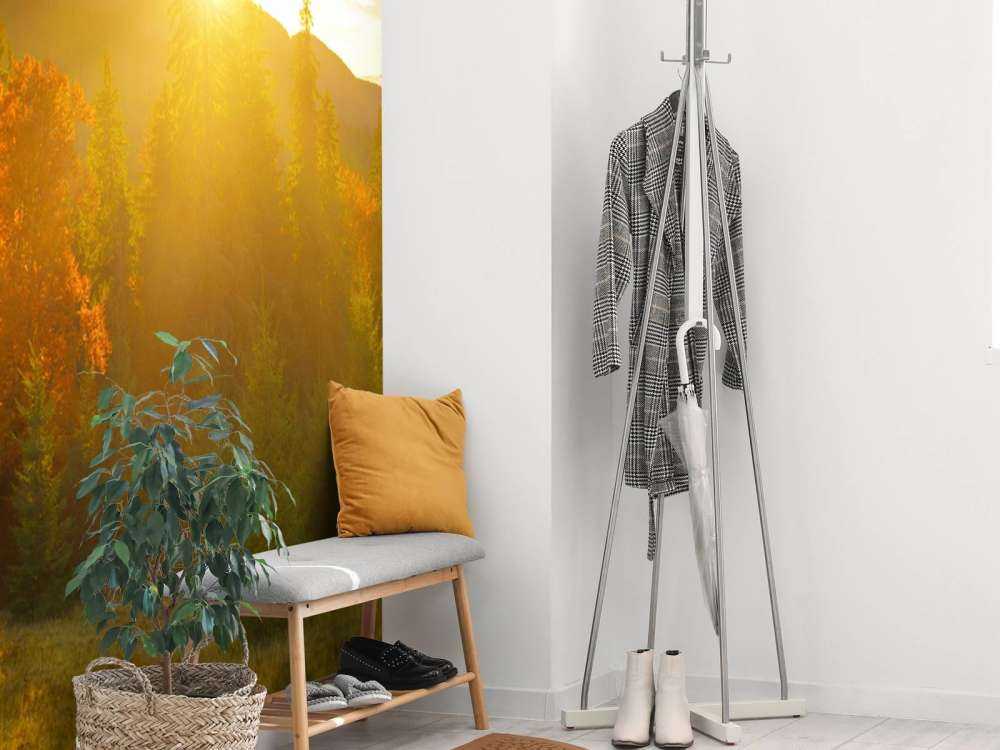 Pine forest panorama