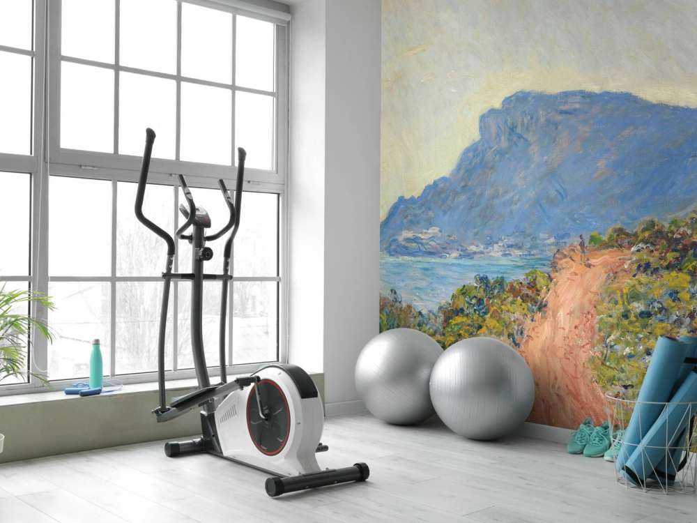 La Corniche near Monaco