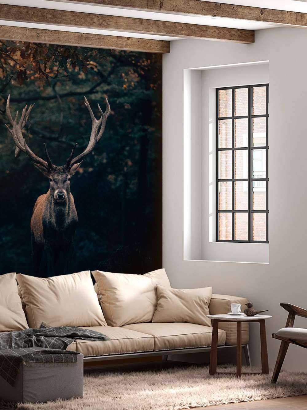 Fallow deer in the woods