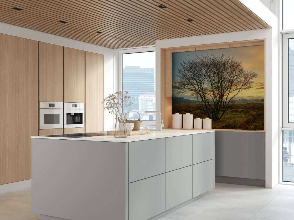 Sunrise on the heath