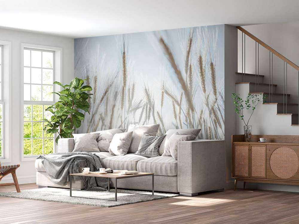 Sunbeams through the grain