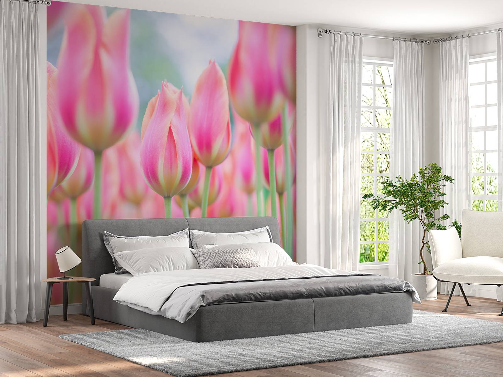 Close-up pink tulips