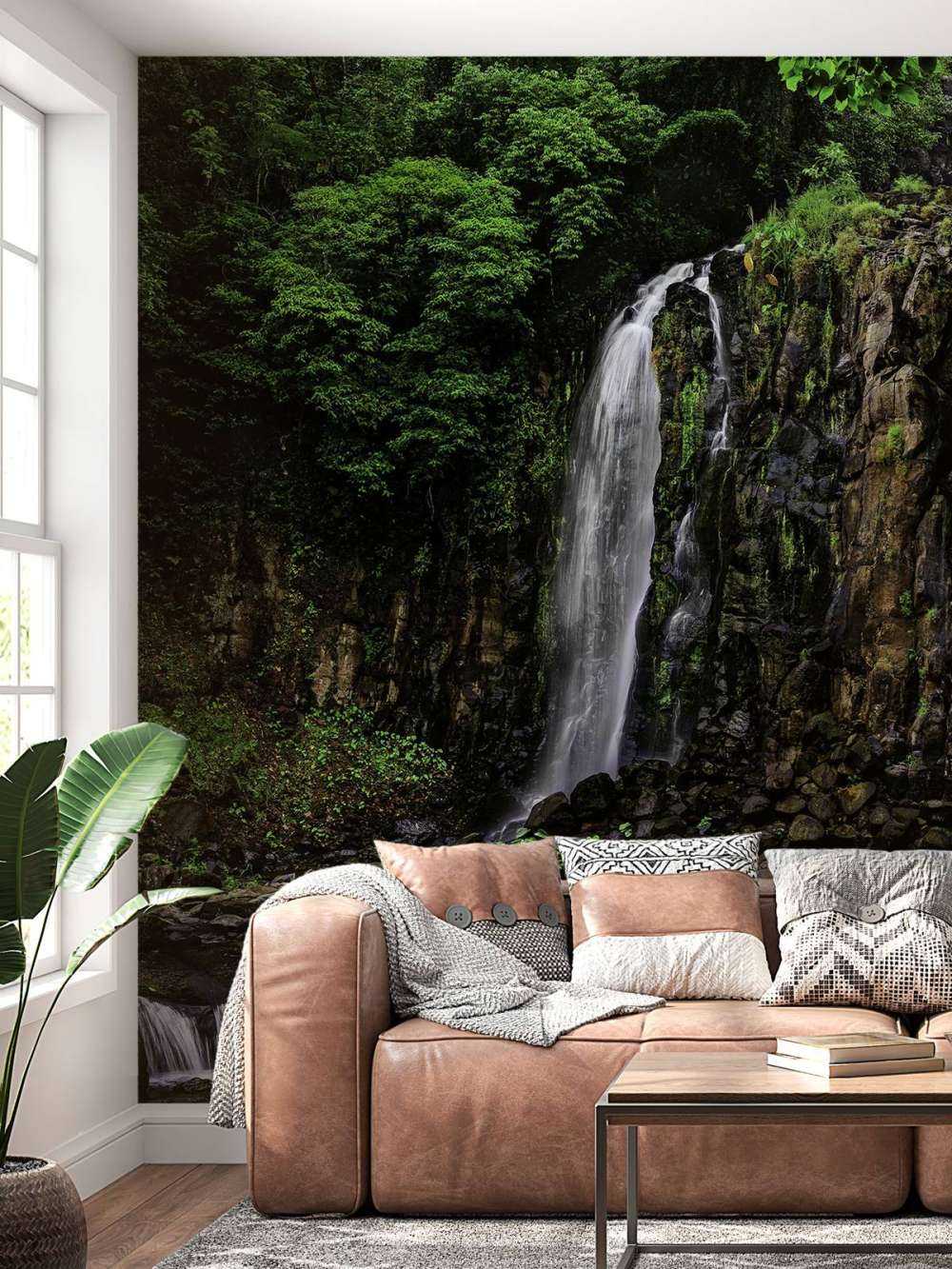 Millaa Millaa Waterfall