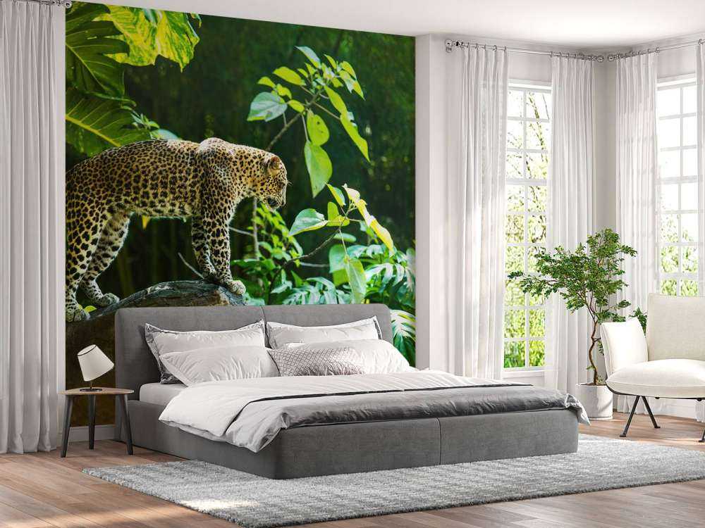 Leopard on a rock face