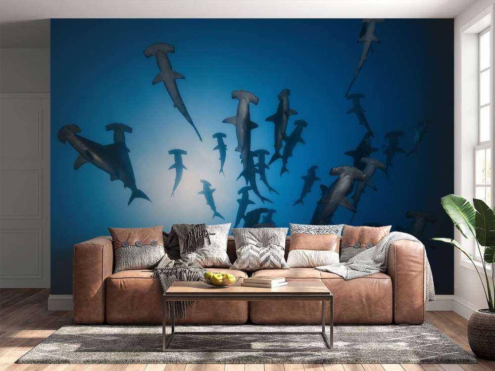 Hammerhead Shark - Underwater Photography