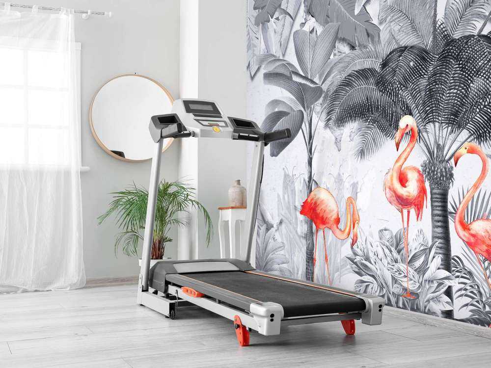 Jungle with flamingos