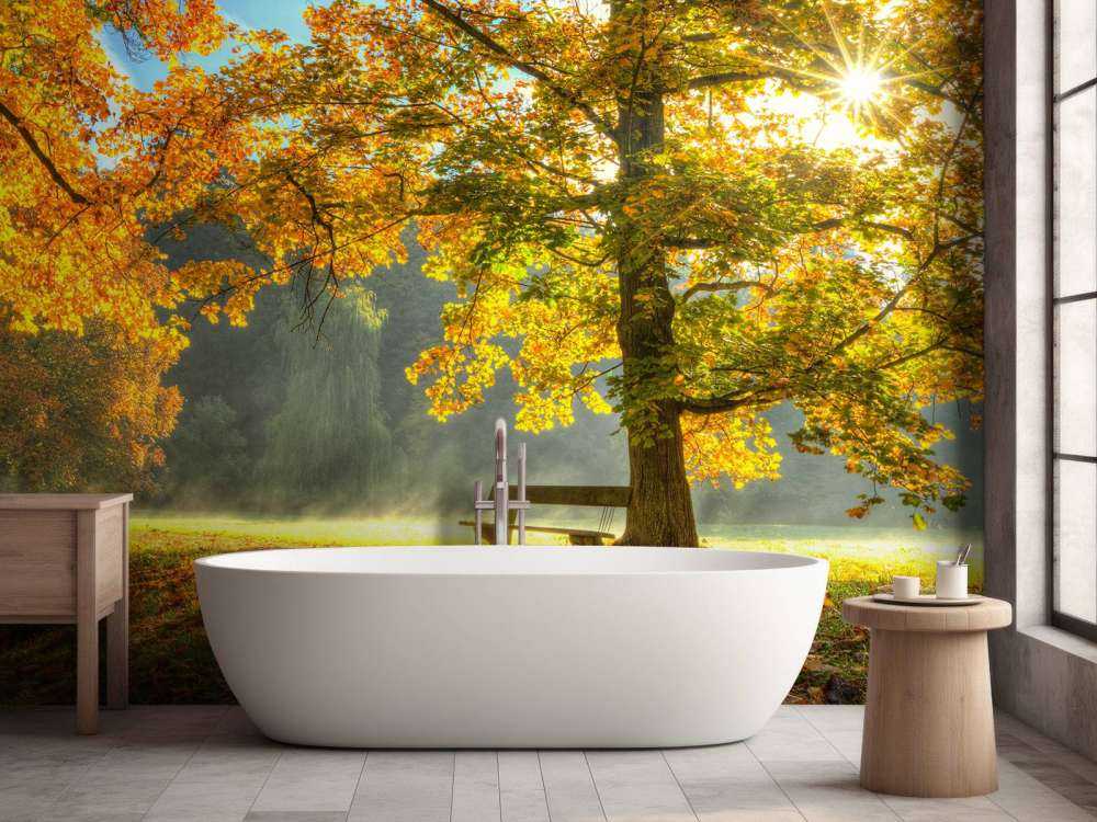 Tree in autumn colours