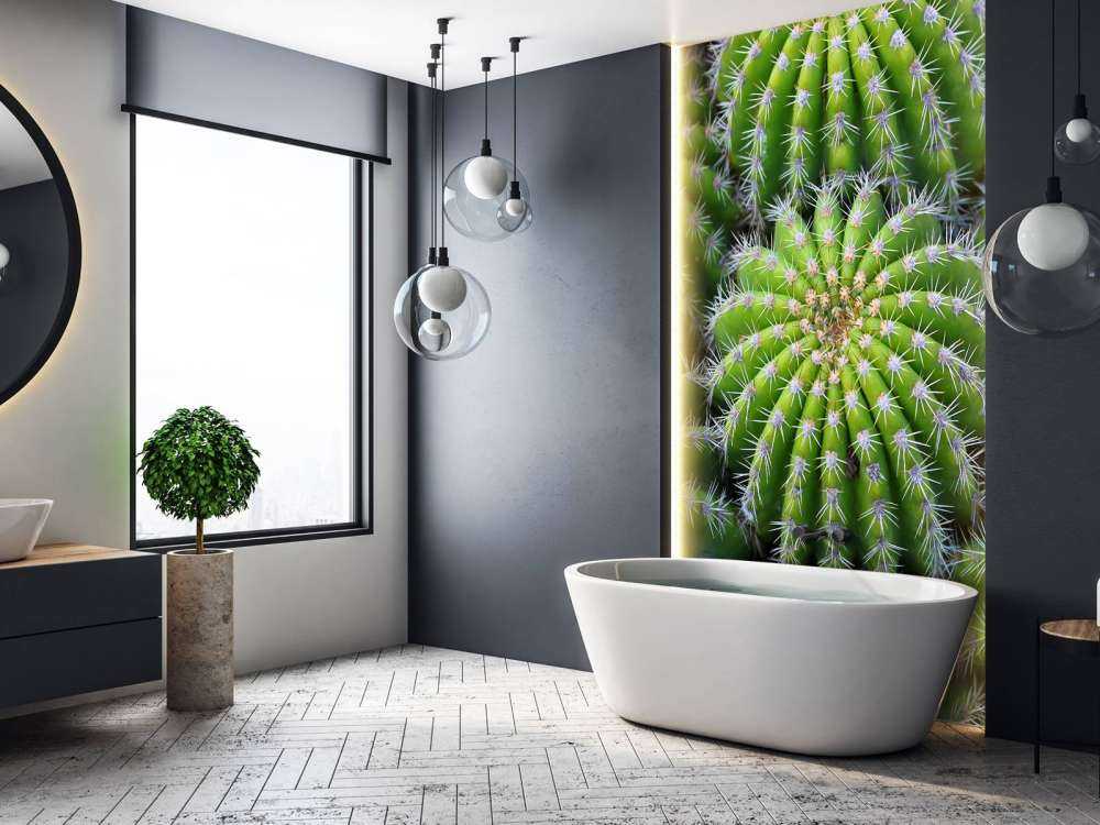 Cacti