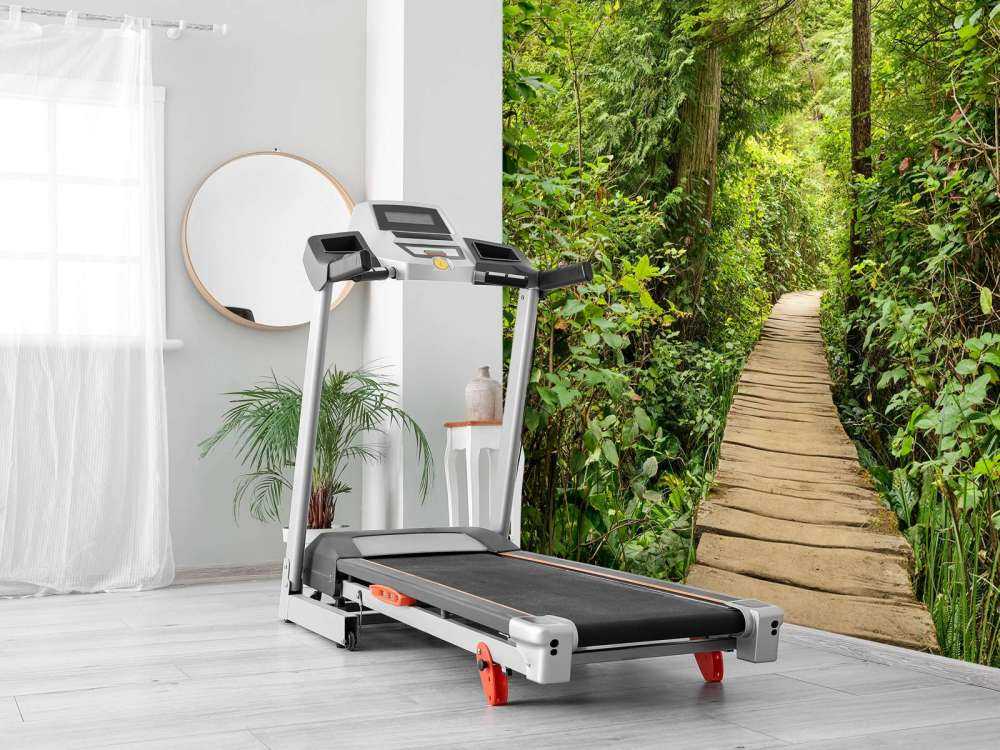 Wooden path through the green