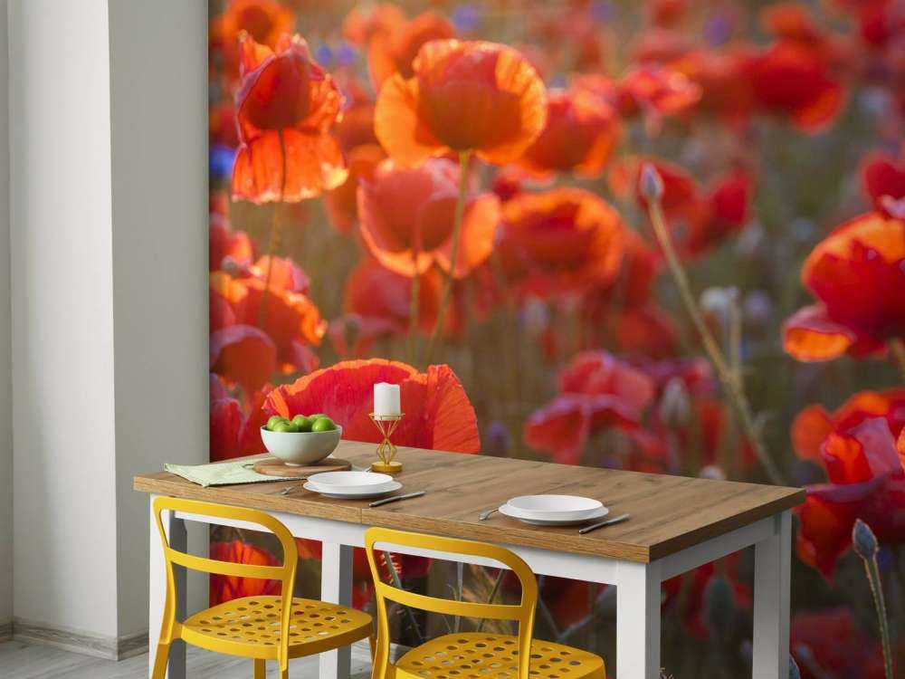 Poppies and cornflowers