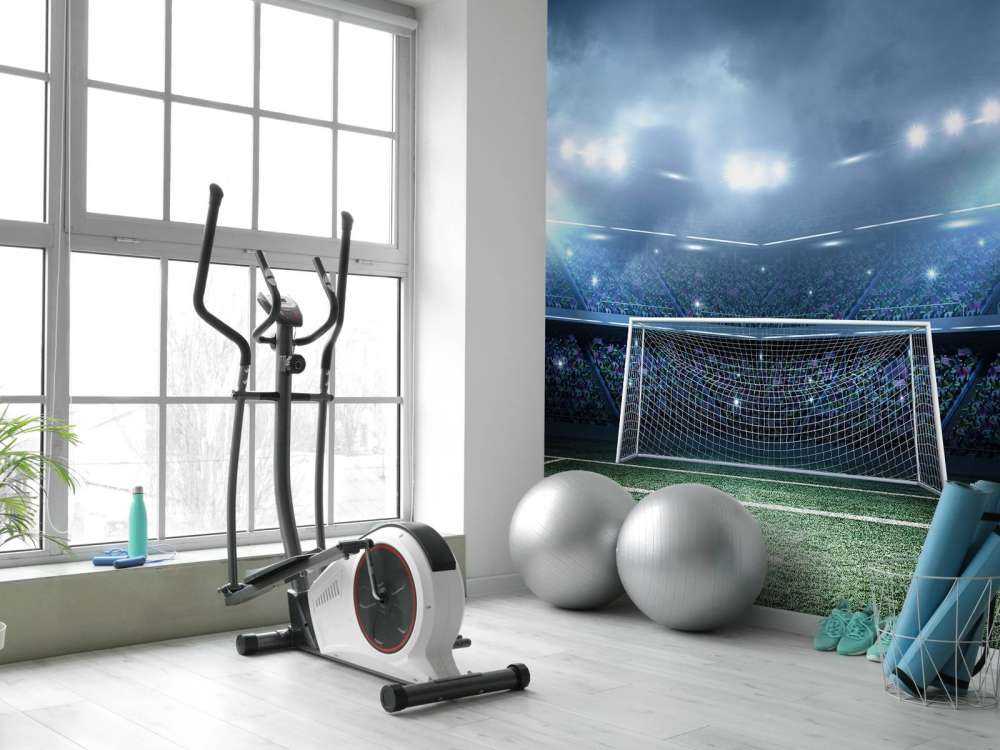 Stadium with goal