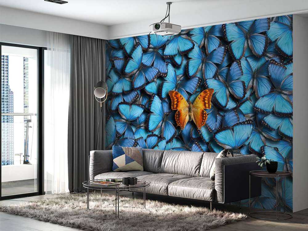 Butterfly composition