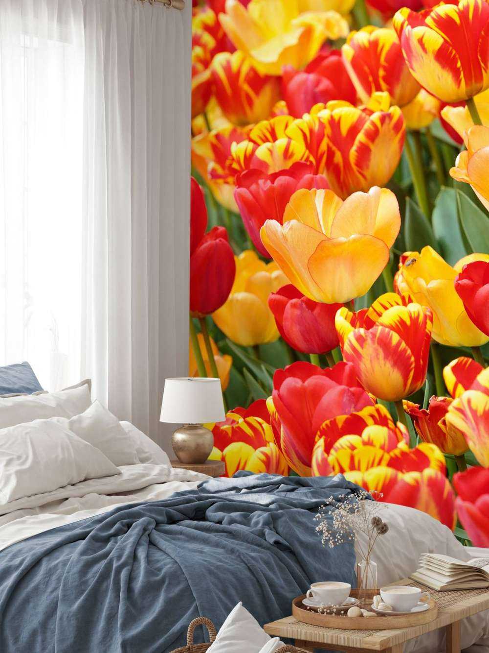 Coloured Tulips