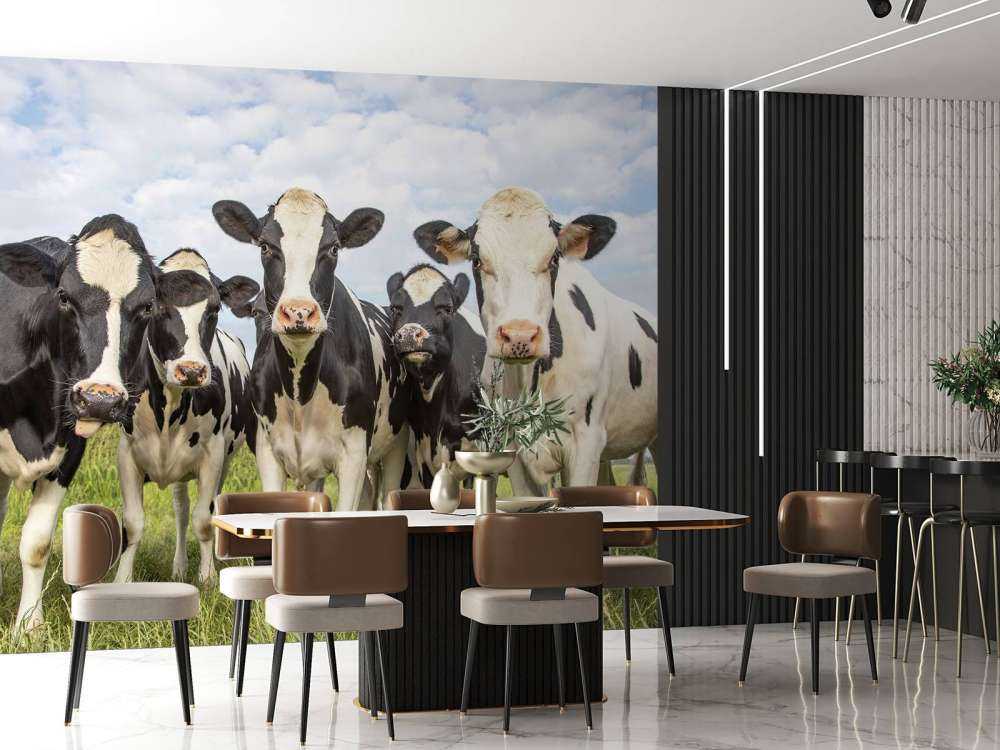Herd with cows