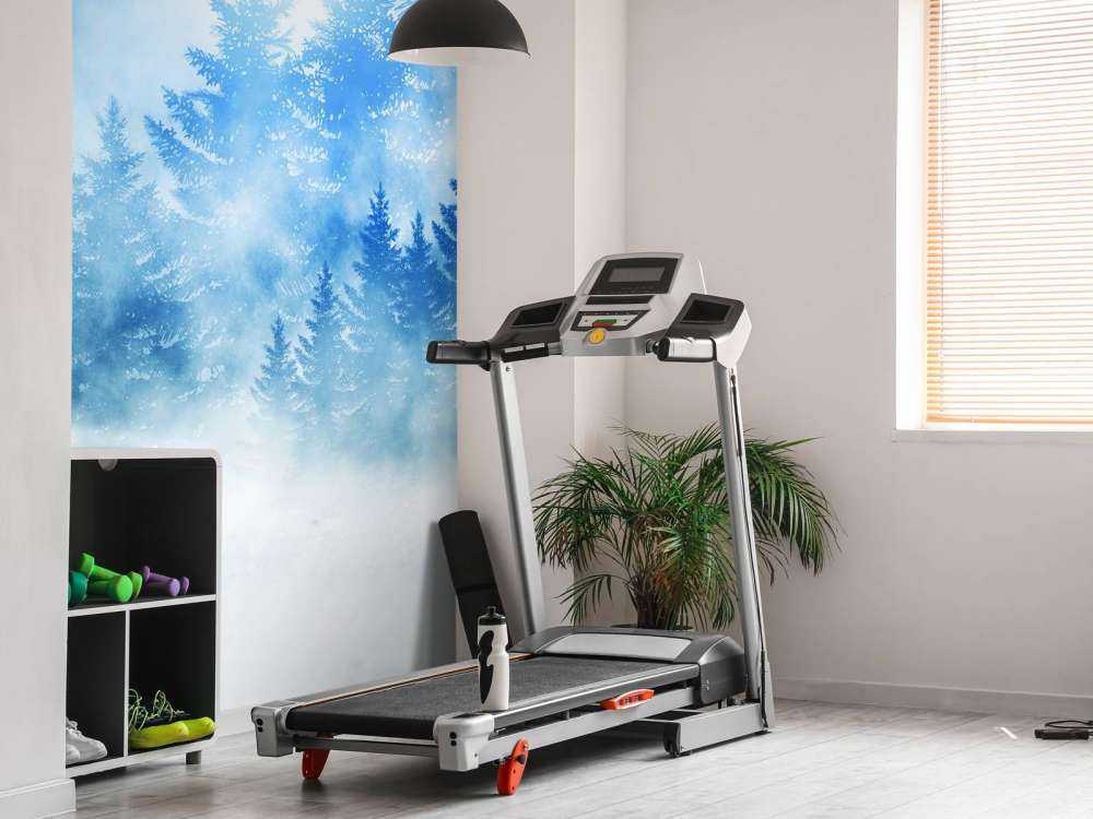 Dark forest with snow