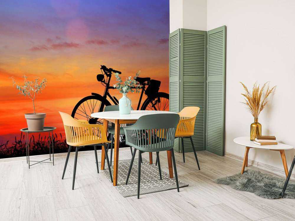 Vintage bike at sunset