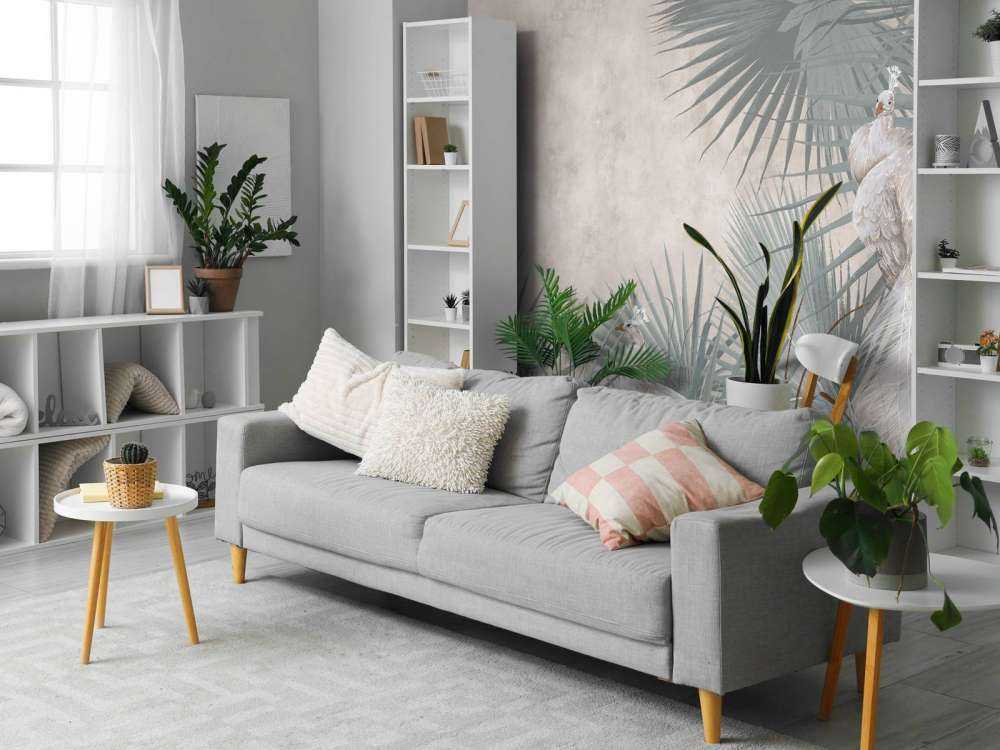 Peacocks in the tropics