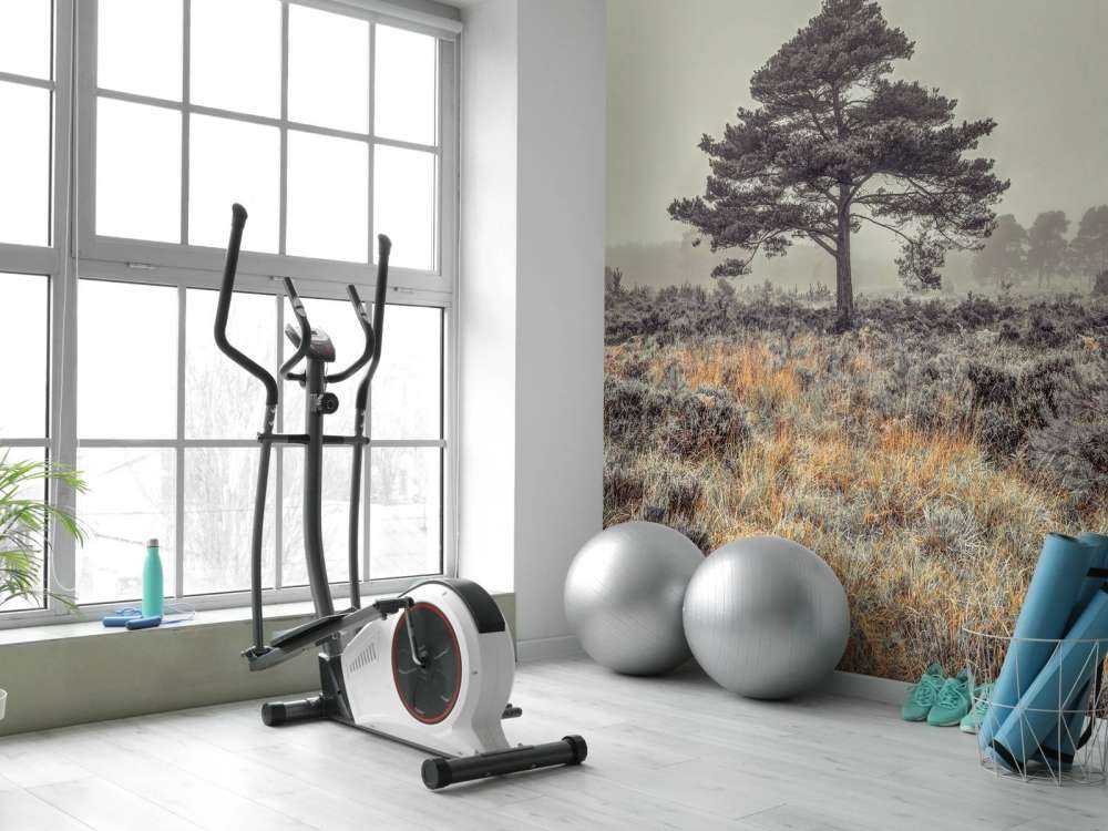 Tree in the countryside